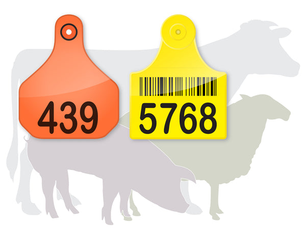 Livestock Plastic Ear Tags 