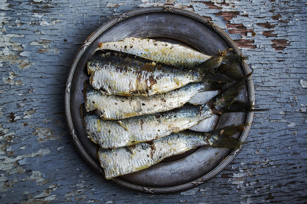 Headless Sardines