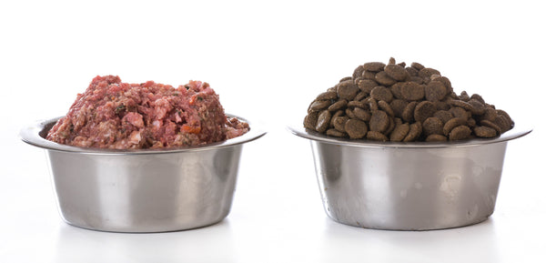side by side bowl shot of raw minced dog food and kibble