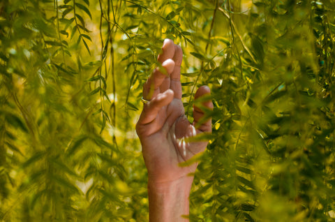 Hand in leaves