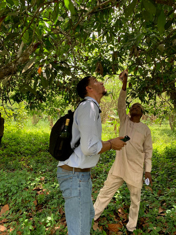 Zach getting educated by Dr. Olubamiwa on kolanut cultivation 