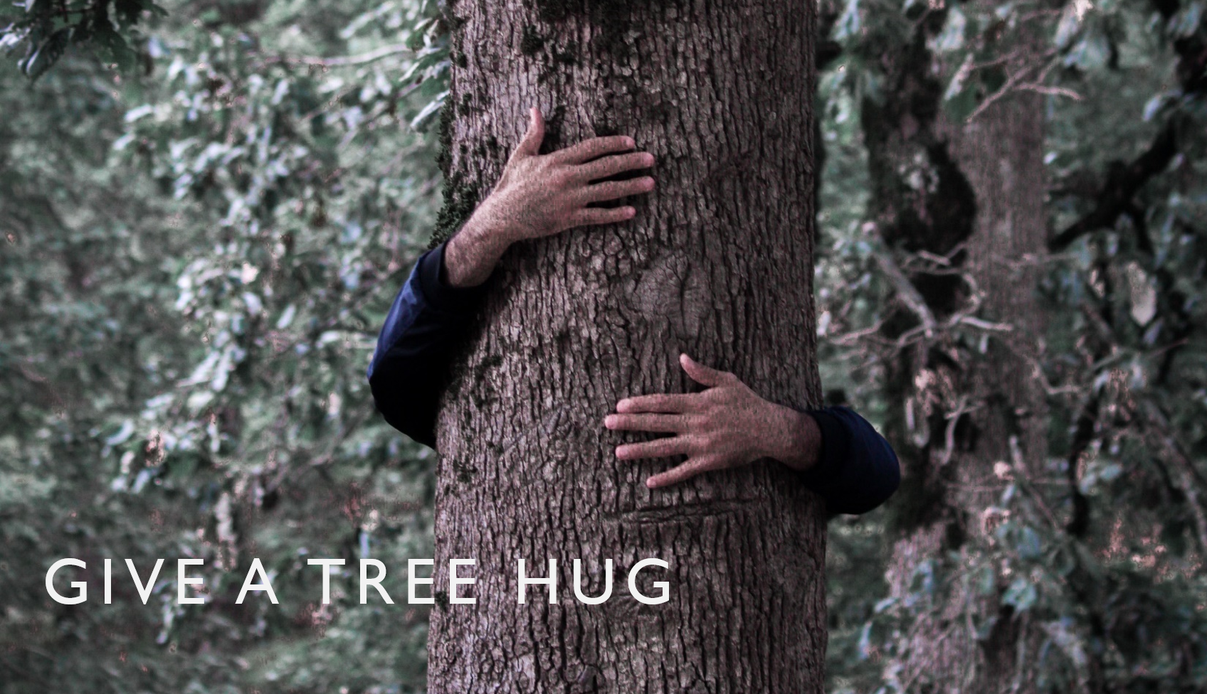 TREE HUG MINDFULNESS GROUNDING NATURE CONNECTIOn