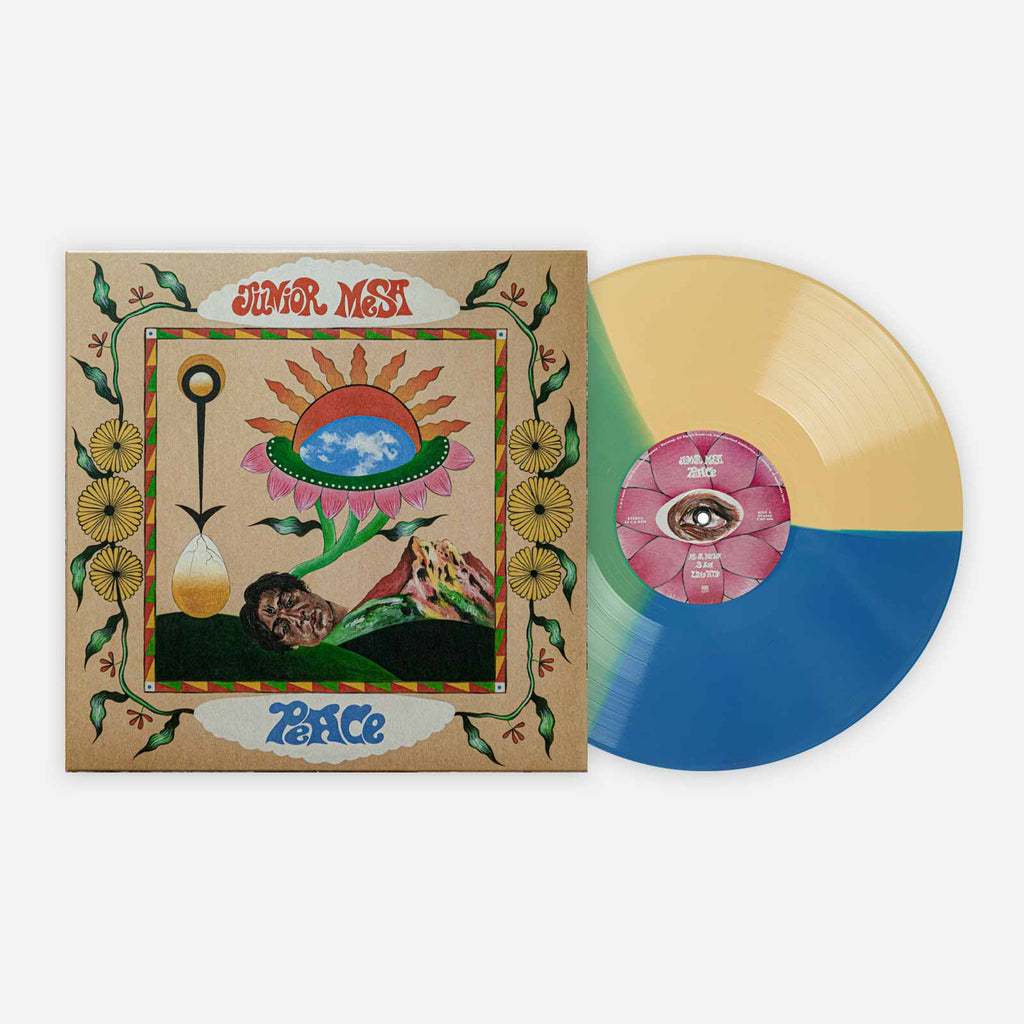 www.vinylmeplease.com