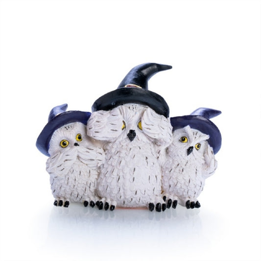 3 WISE SNOWY OWLS