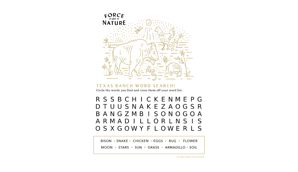 texas ranch - word search