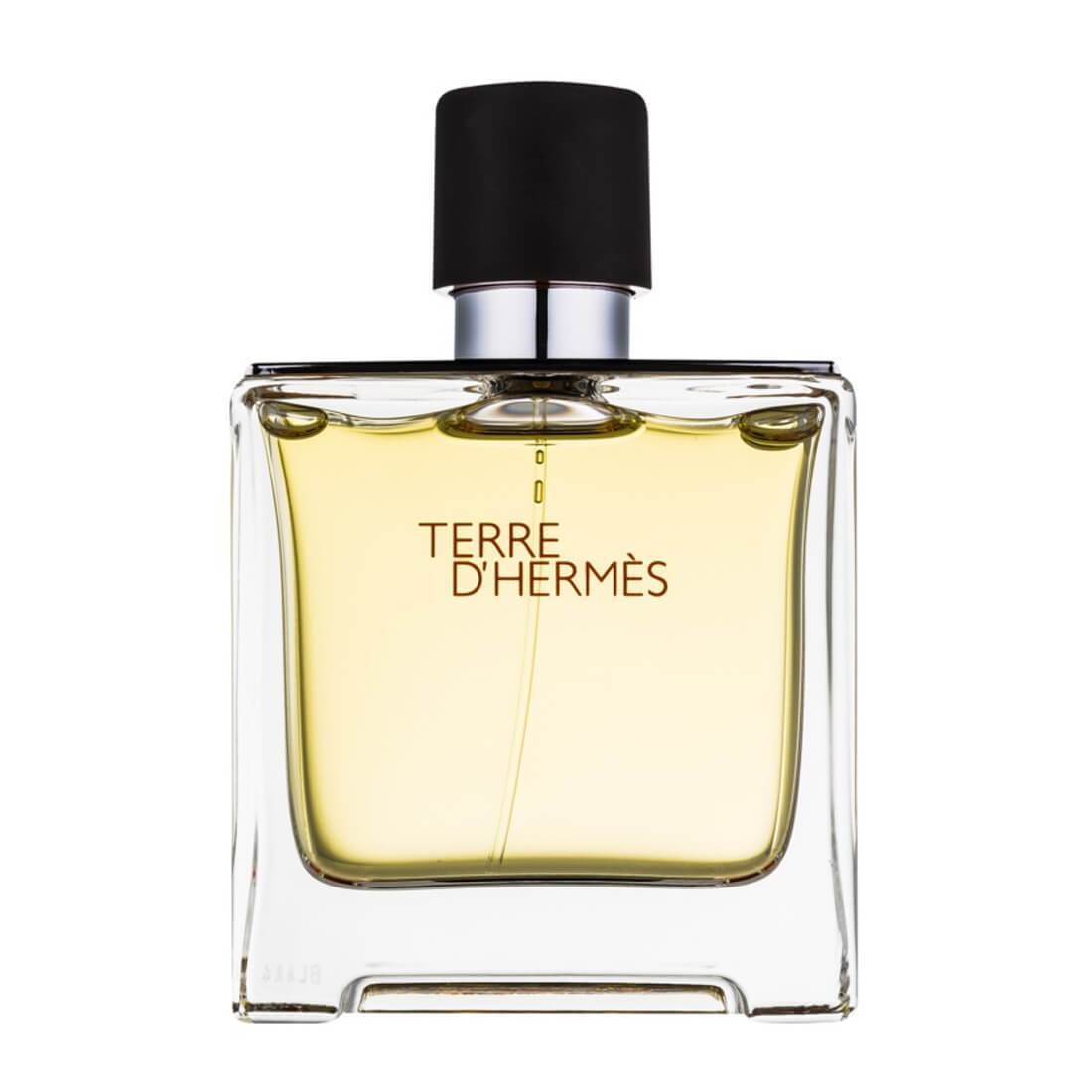 Hermes Terre D'Hermes Eau De Perfume 