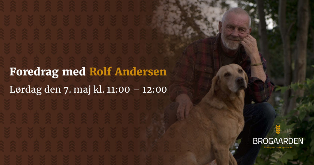 hjælpeløshed Ud over stål Foredrag til Hundedag med Rolf Andersen "Få en glad og lydig hund"