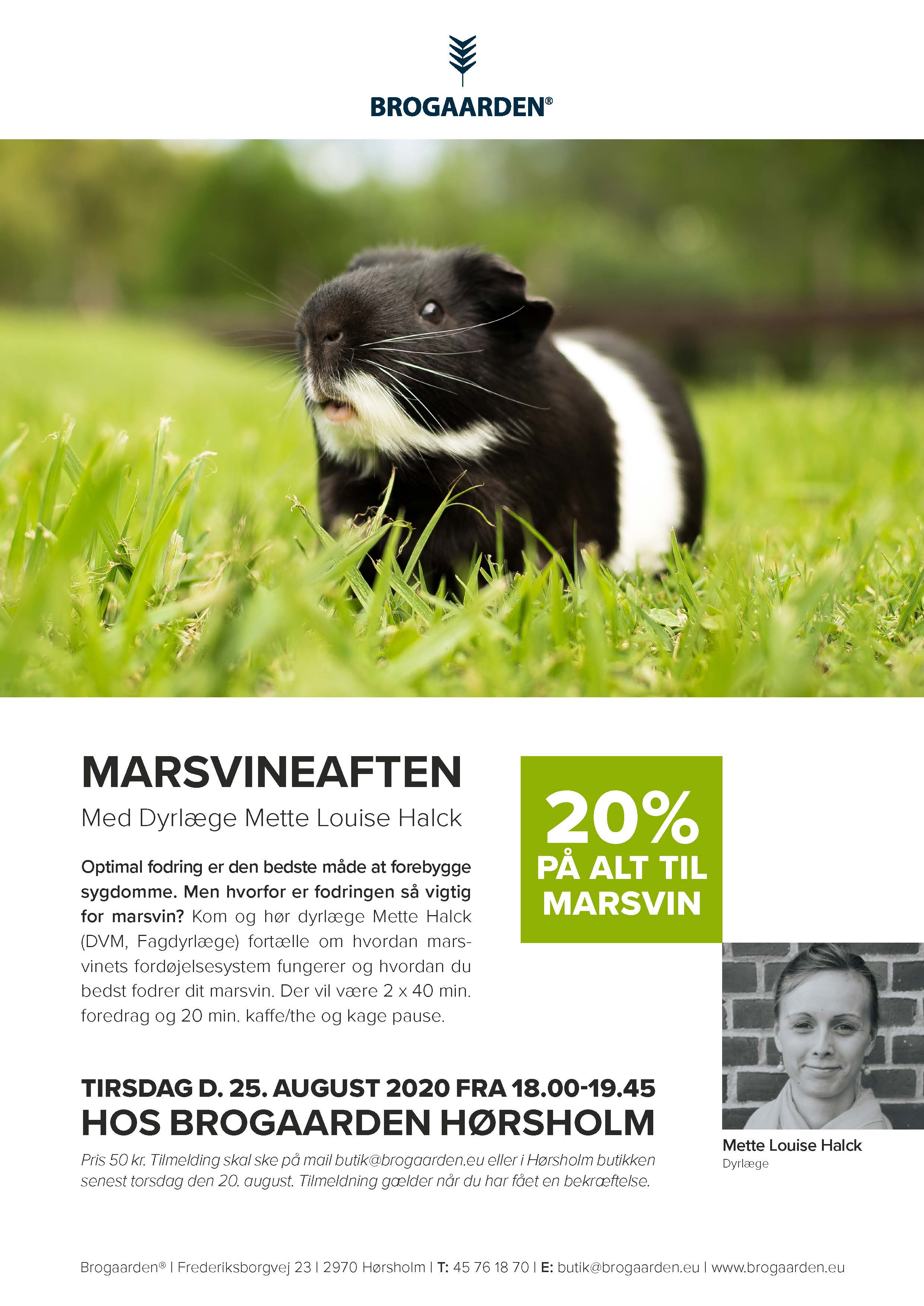 Spændende foredrag om marsvin i Brogaardens butik i Hørsholm
