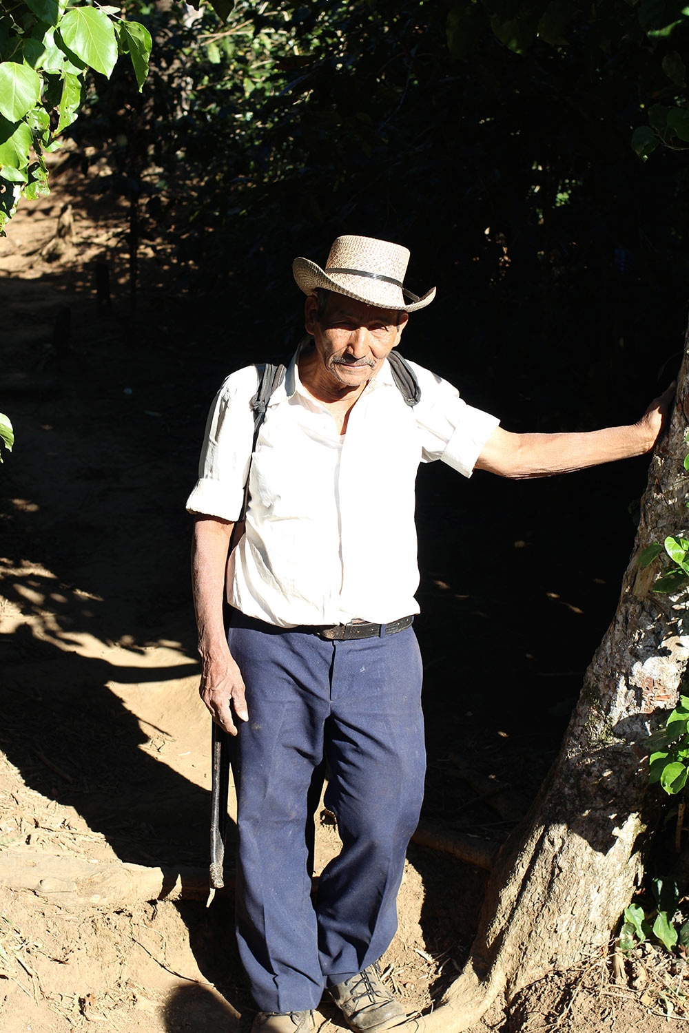 This man has worked at Finca El Rosario since 1967
