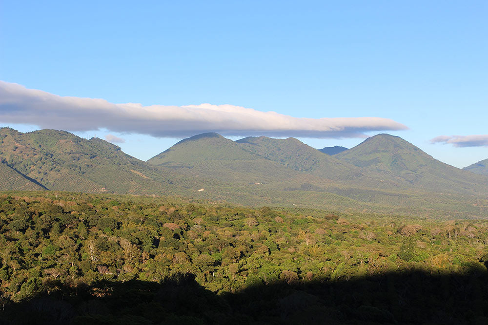 The volcanoes of the Apaneca-Ilamatapec range, showing the windbreaks on many coffee farms