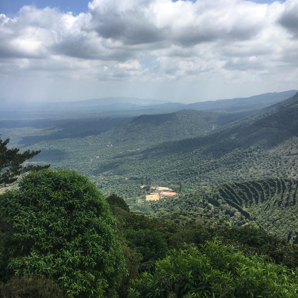 View from Santa Margaritas of Finca El Manzano