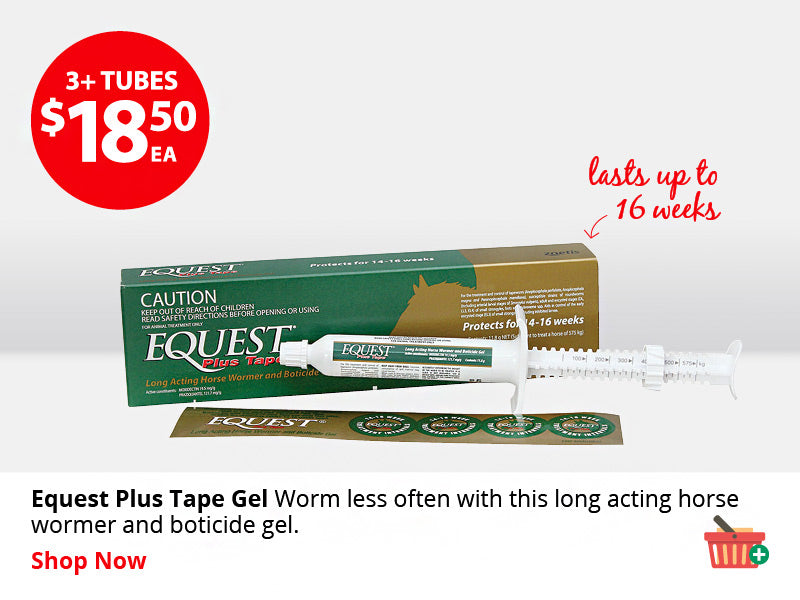 Equest Plus Tape Gel ON SALE NOW