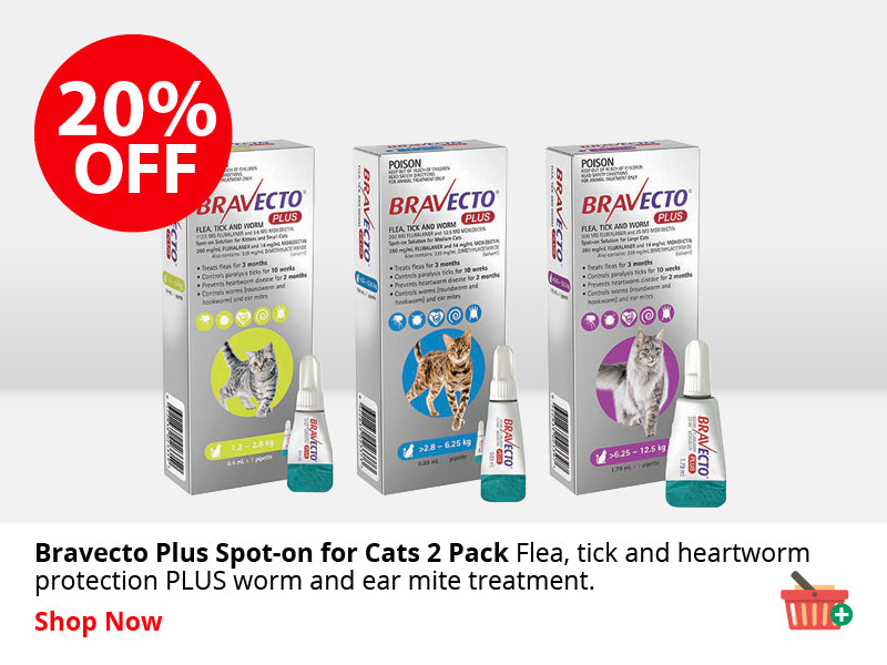 Bravecto Plus Spot-On for Cats 2 pack ON SALE NOW