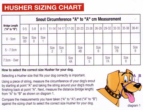 dog muzzle size chart