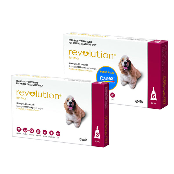 revolution for dogs with canex