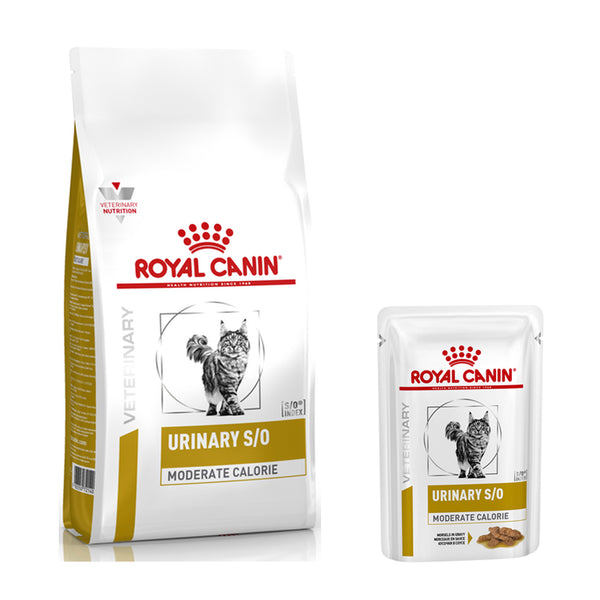 difference between royal canin urinary and urinary so