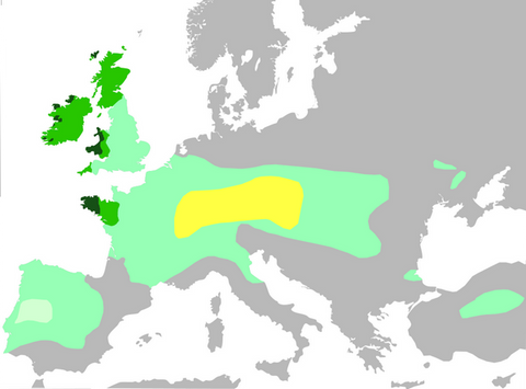 carte des celtes en europe durant l'antiquité