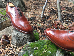 Mirror Shined Allen Edmonds Walnut Weybridge Oxford Leather Shoes on mossy rocks