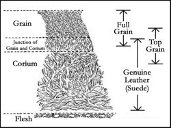 Levels of Leather Grain