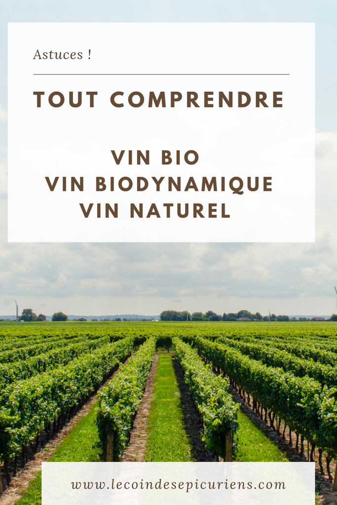 Comprendre les différences entre Vin Bio, Vin Biodynamie, Vin Naturel