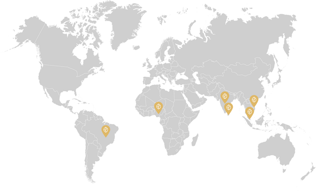 Ingredients Source World Map, Malaysia, Brazil, Vietnam, Sri Lanka, Nigeria and India