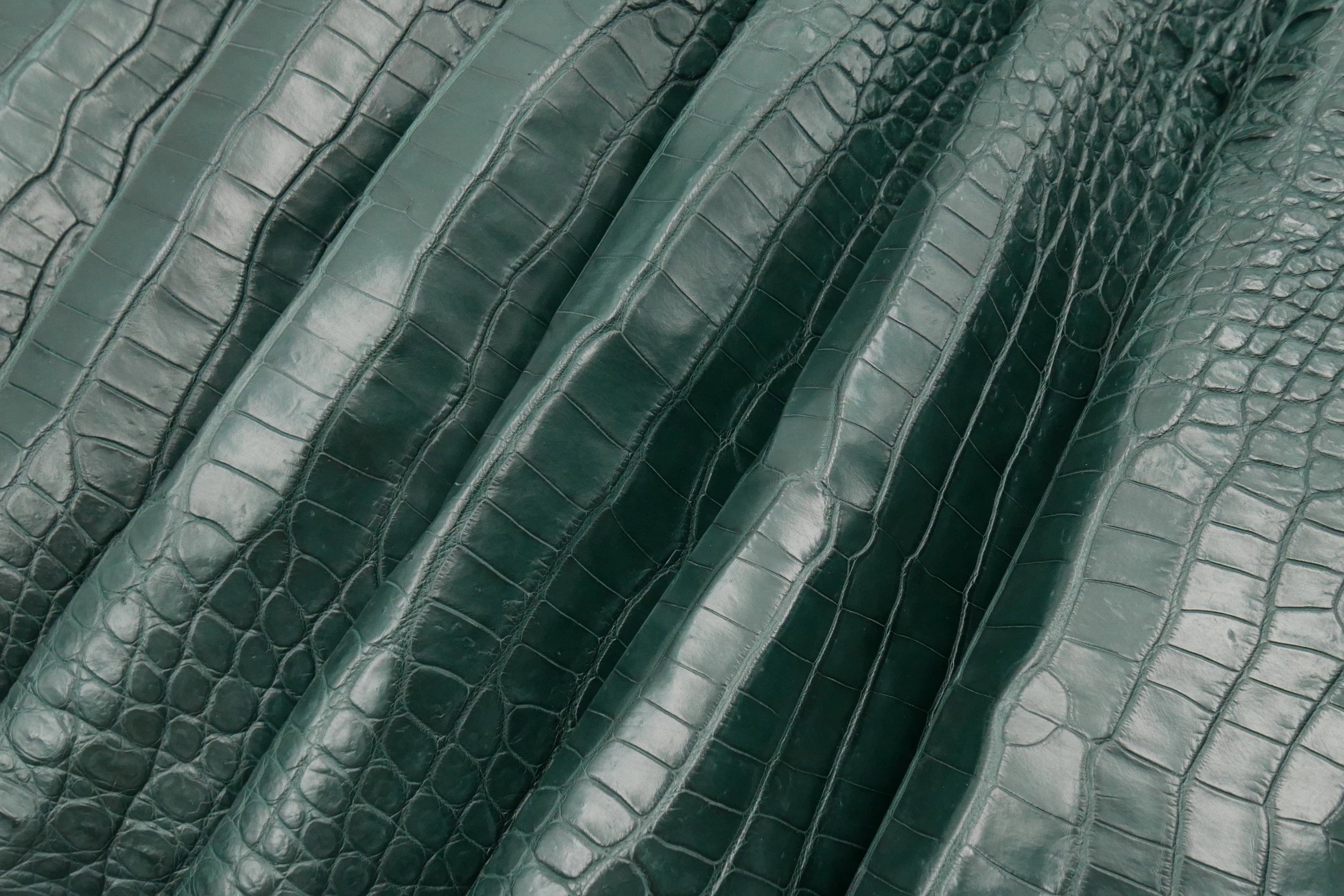 CROCODILE - Dark Green