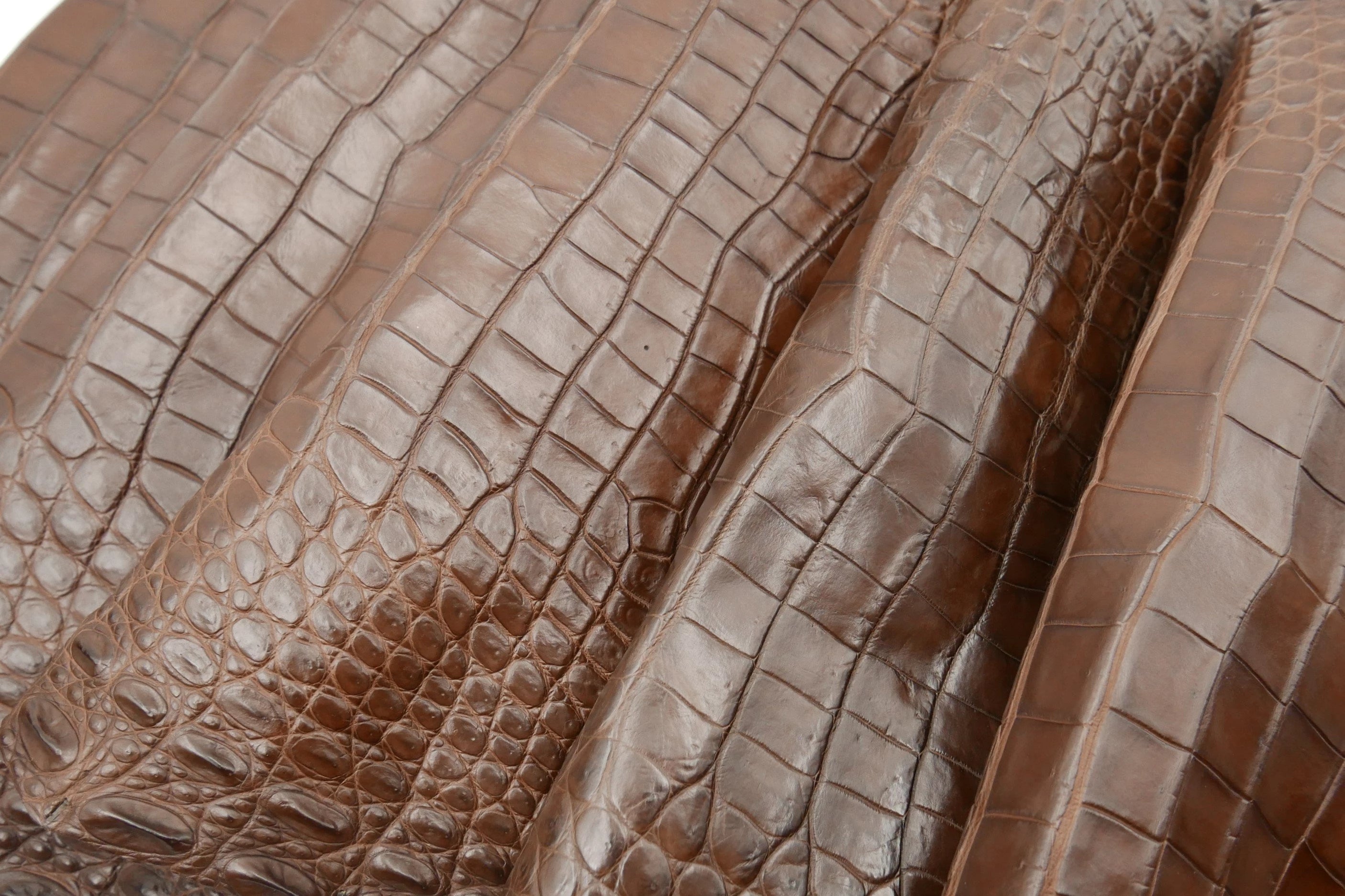 CROCODILE - Medium Brown