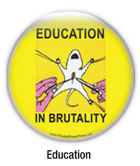 education buttons