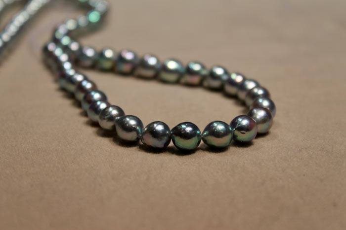 natural color Akoya Pearls