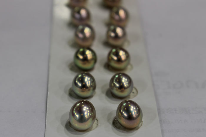 metallic freshwater Pearls