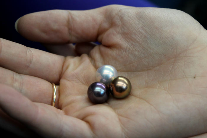 rare loose Edison Pearls