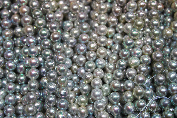 close up image of silver-blue akoya pearls