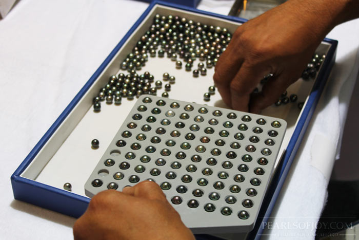 tray of carefully chosen Tahitian pearls