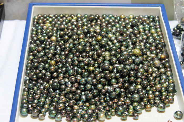 a tray of Tahitian pearls