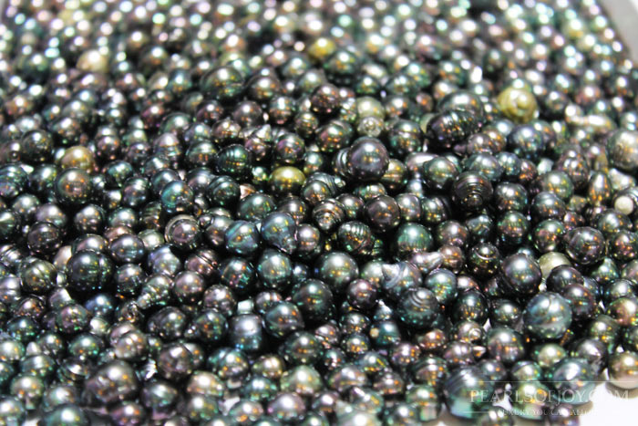 a close up of the pearls