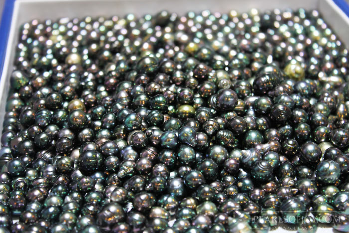 a closer look at the beautiful Tahitian pearls