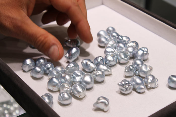 a tray of blue South Sea Pearls