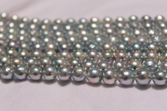 beautiful strands of Akoya pearls