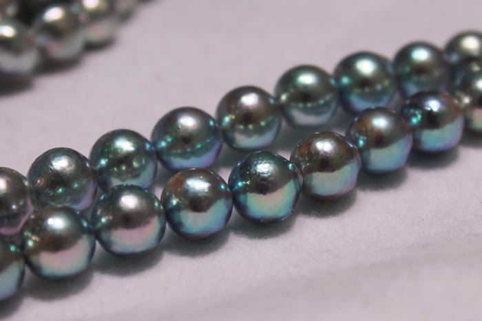 a close up of the blue Akoya Pearls