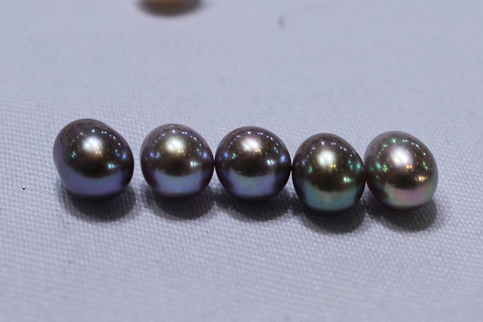 a row of stunning pearls