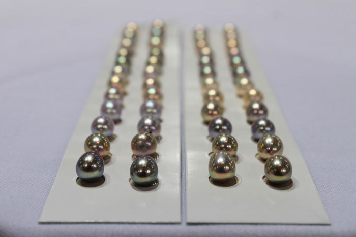 rows of matched pearl drops