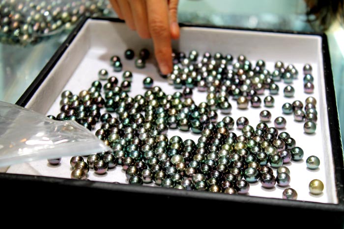 a tray of Tahitian pearls from Gambier Islands