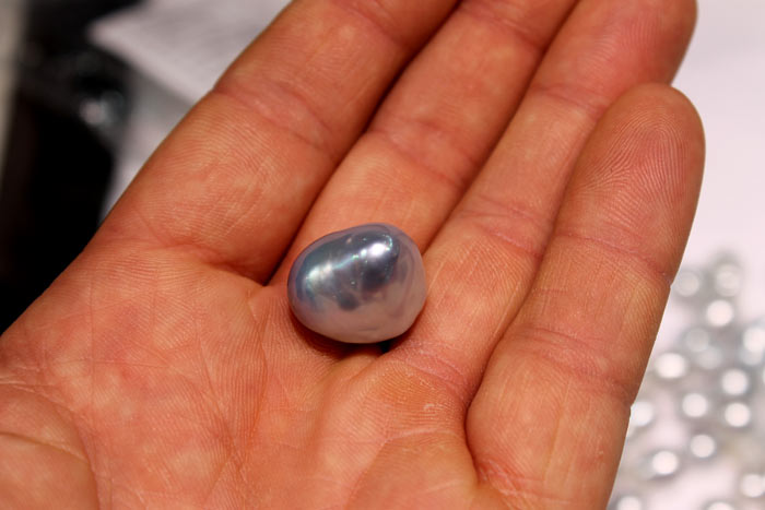 close up of a silver/blue South Sea pearl