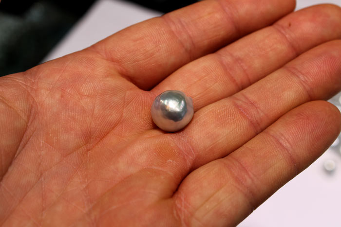 a solitary blue south sea pearl
