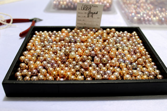 a tray of the fancy colored pearls
