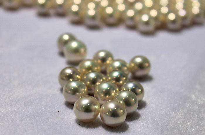 beautiful white pearls