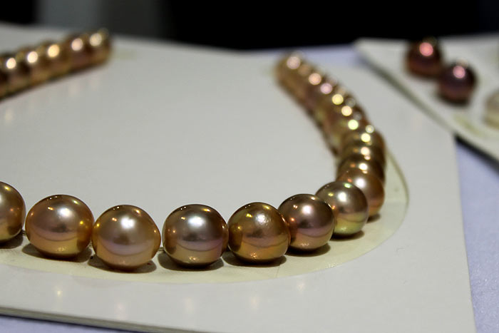 Edison pearl necklace with golden and purple overtones