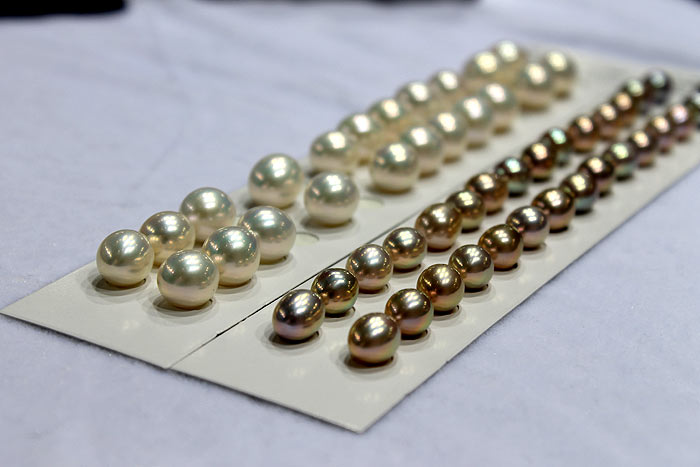 white and rare colored drop pearls in pairs