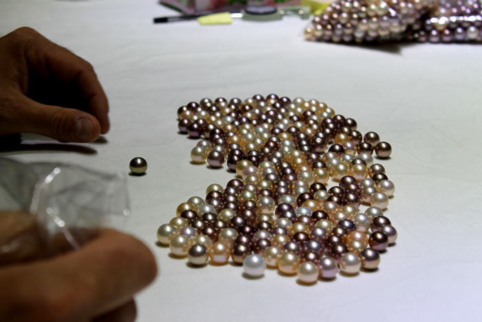different colored bead-nucleated Edison pearls