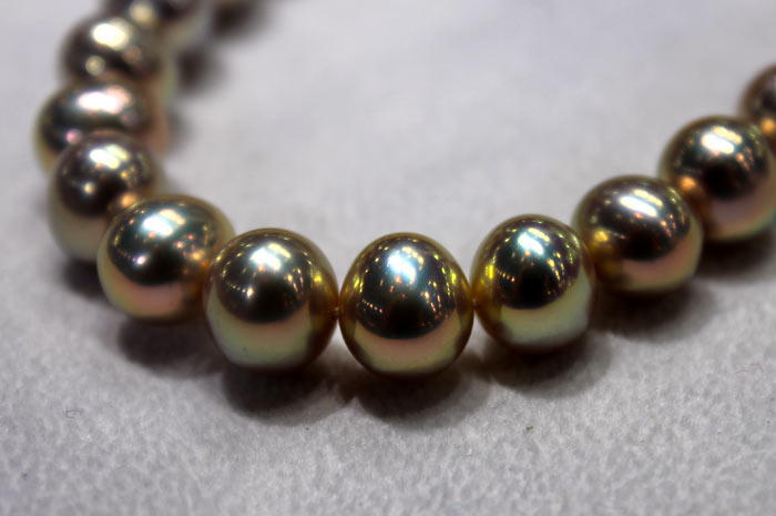 freshwater pearls with metallic luster